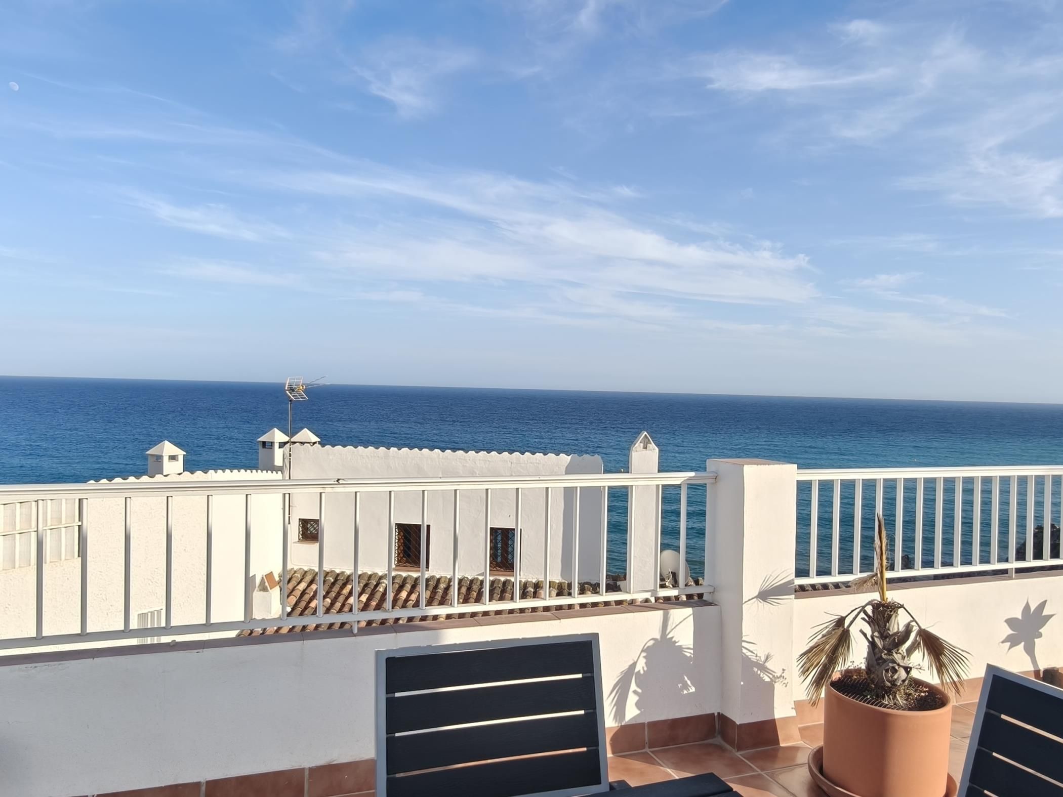 A terrace with a view of the sea, white walls, and a potted plant.
