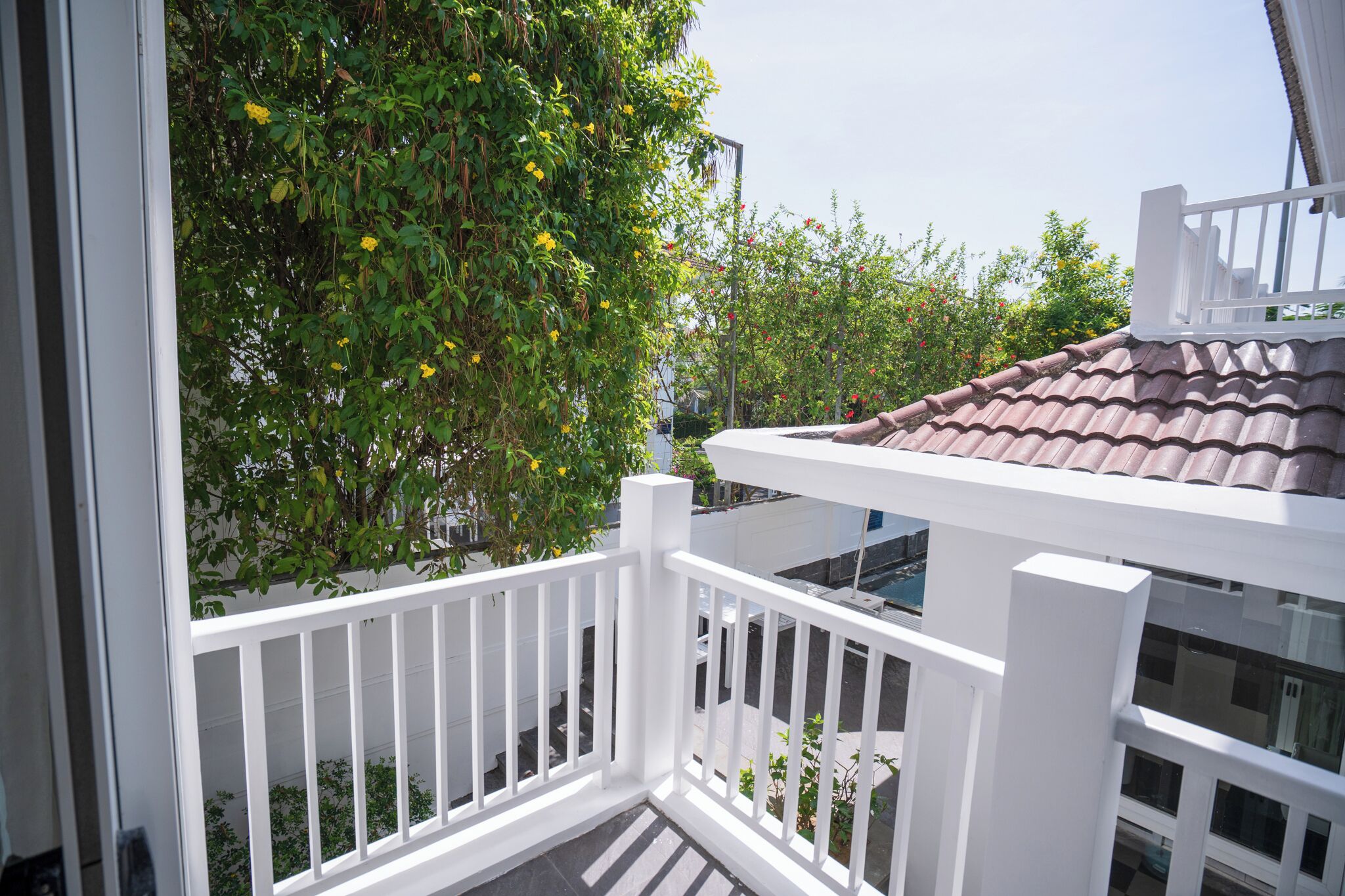 Een balkon met witte reling, een betegeld dak en een weelderige groene plant met gele bloemen.