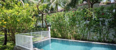 A rectangular swimming pool with a white fence, surrounded by lush greenery and palm trees.