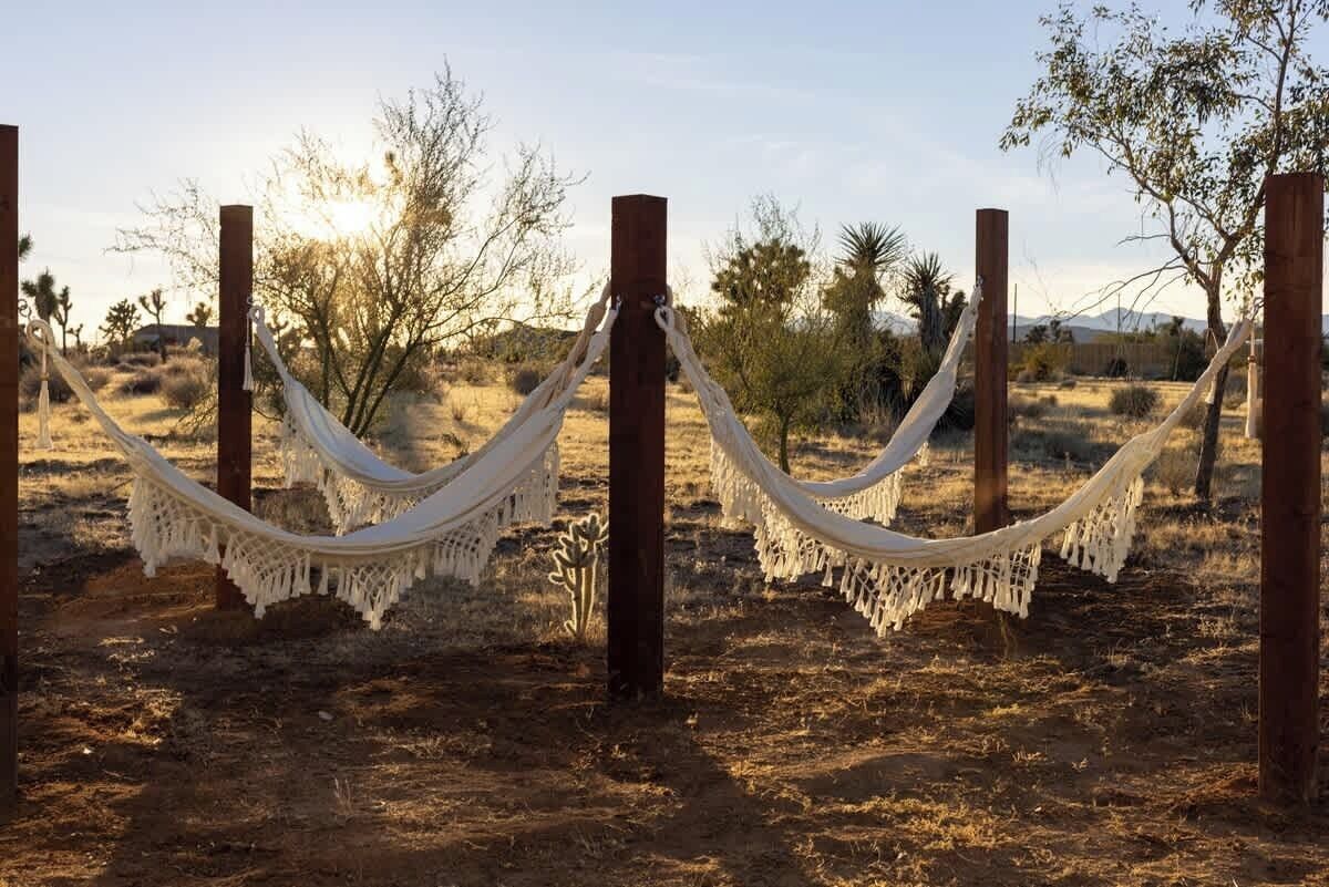 Hammocks among the Joshua trees