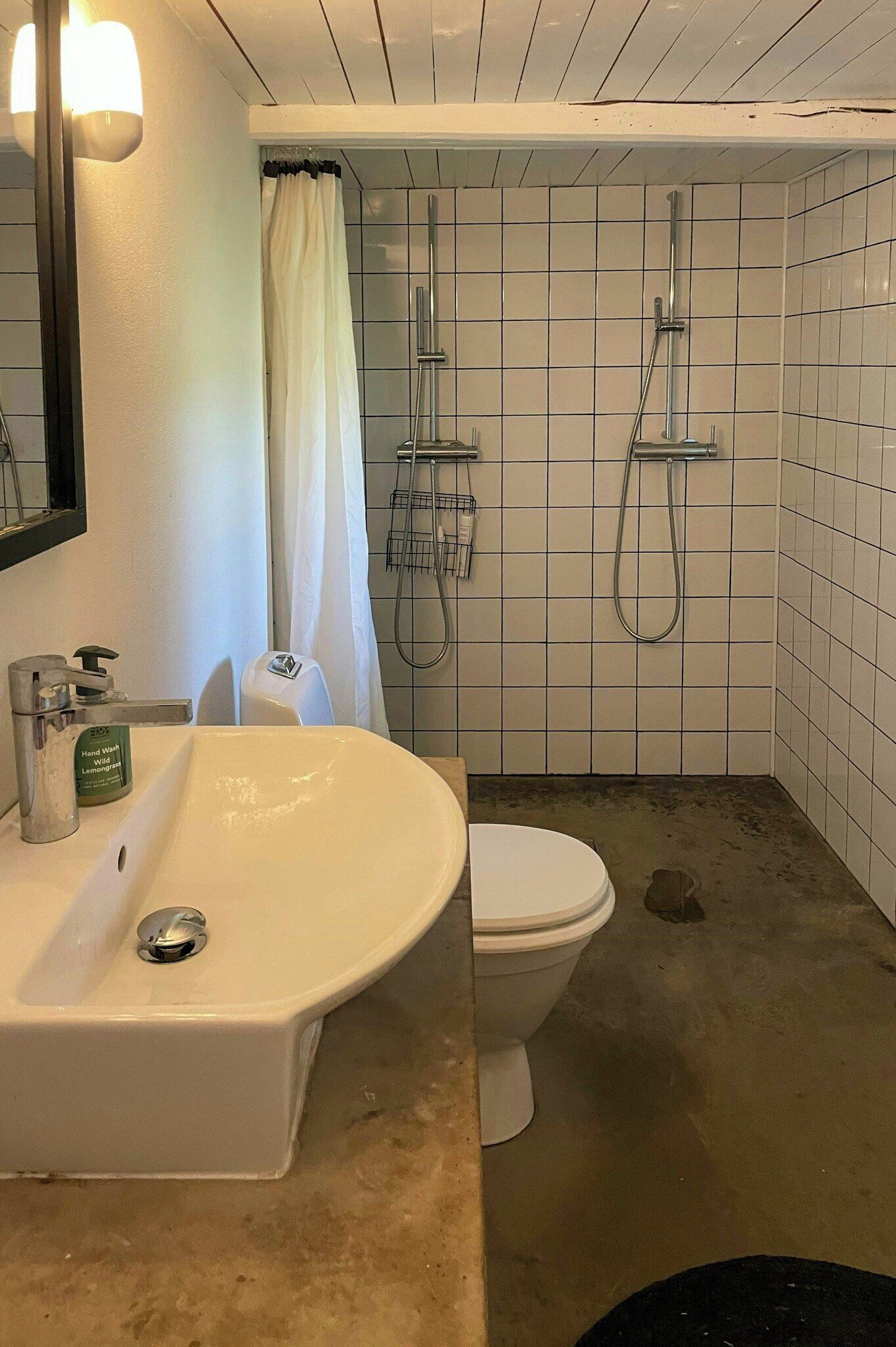 A bathroom with a white sink, a toilet, a shower with a handheld showerhead, and a mirror.