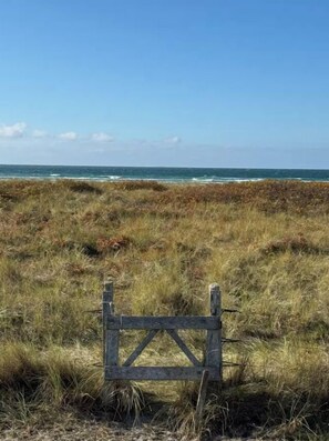 Beach - Timber cabin with guest house near Dragsholm (Ellinge Lyng, Højby)