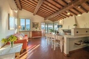 TV, fireplace - Apartment with private pool near Lucca (Lucca)