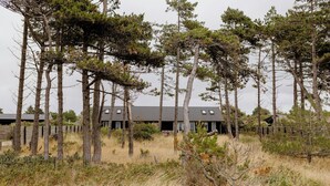 A modern building surrounded by tall pine trees and dry grass. - Unspoiled view to the sea and wild nature (Store Fuglede)