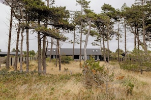 Ein modernes Gebäude, umgeben von hoch aufragenden Kiefern und trockenem Gras.