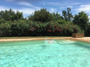 Pool - Winemaker's home by Pézenas vineyards (Pézenas)