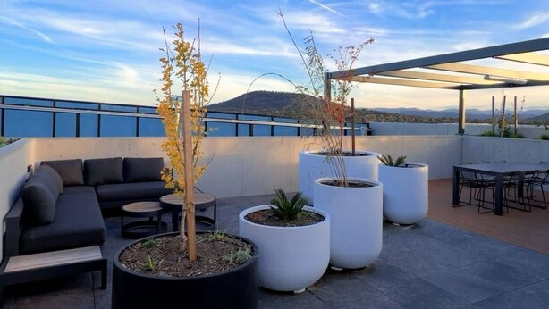 A rooftop terrace with a sofa, round tables, potted plants, and a view of the cityscape. - Cozy2BR free parking, @Woden, pet alow (Phillip)