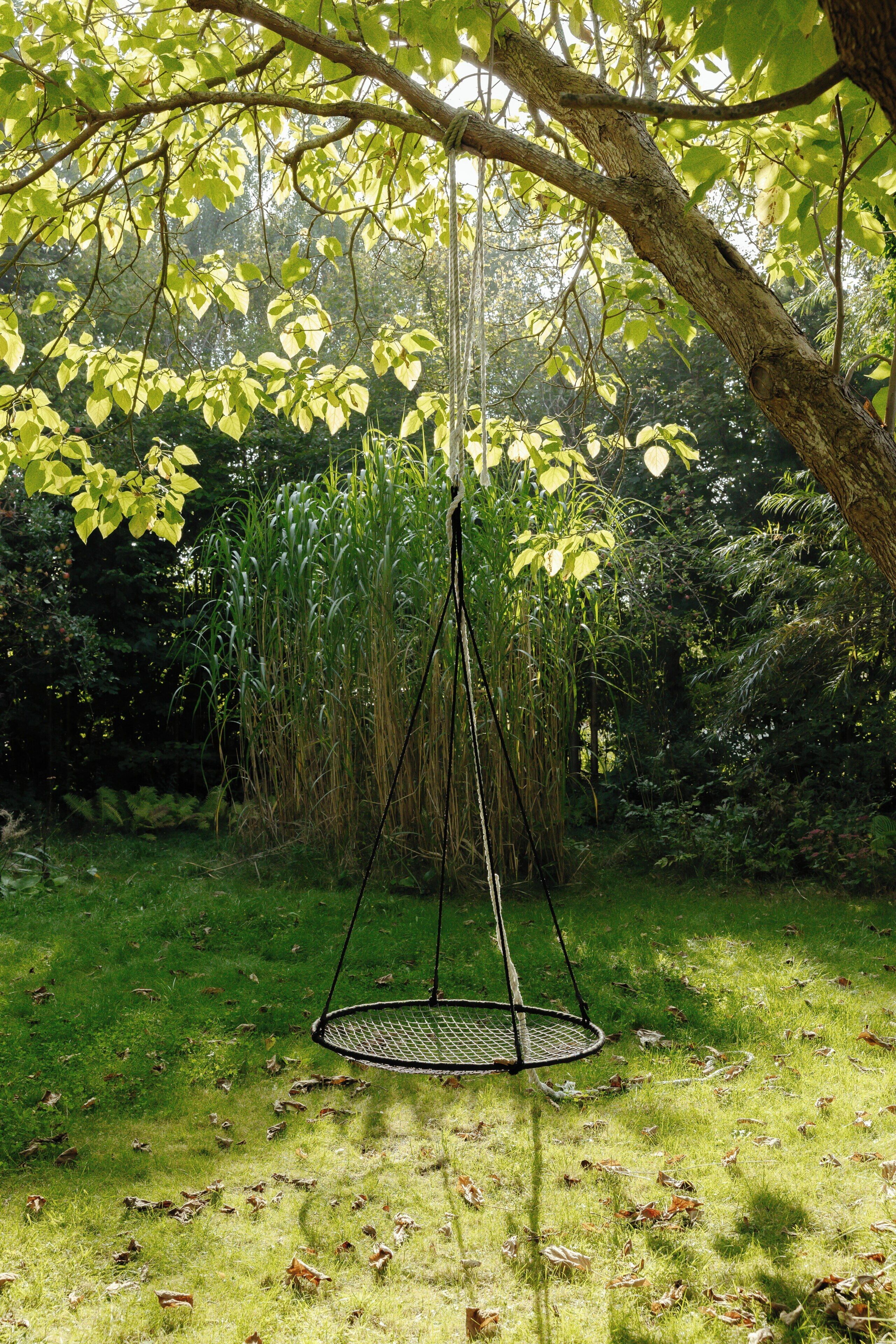 Una hamaca colgada de un árbol en un área con césped, con follaje denso al fondo.