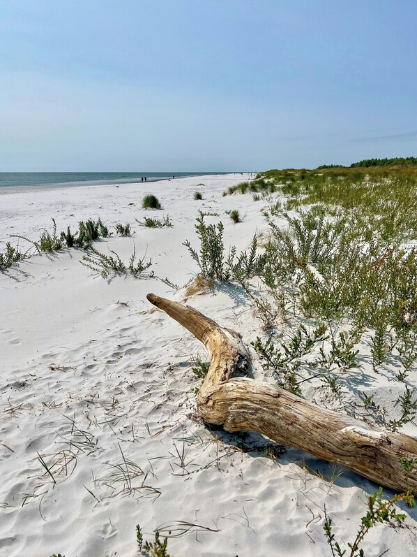 Beach - Renovated holiday home by forest lake in Dueodde (Nexø)