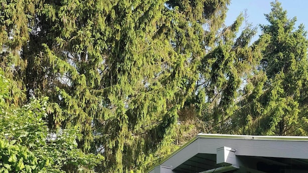 Um edifício moderno com grandes janelas de vidro e fachada de madeira.