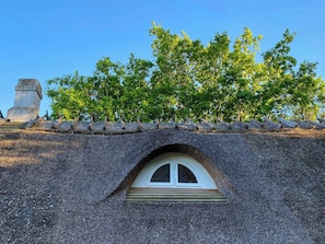 Detalle exterior