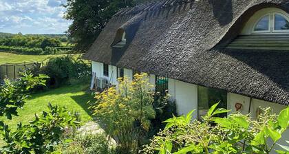 Half-timbered house from 1800s near Præstø
