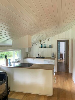 Microwave, oven, dishwasher, coffee/tea maker - Holiday home near Fjerritslev with fenced garden (Fjerritslev)