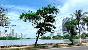 A waterfront road with trees and a city skyline in the background.