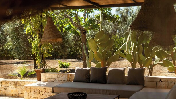 An outdoor seating area with stone walls, a cushioned sofa, and a table with a bowl. - pool villa among ancient olive trees in Ostuni (Ostuni)