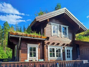 Exterior - Unique log cabin in beautiful Vrådal (Vrådal)