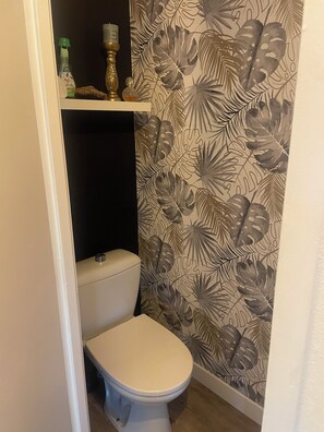 Shower, hair dryer, toilet paper