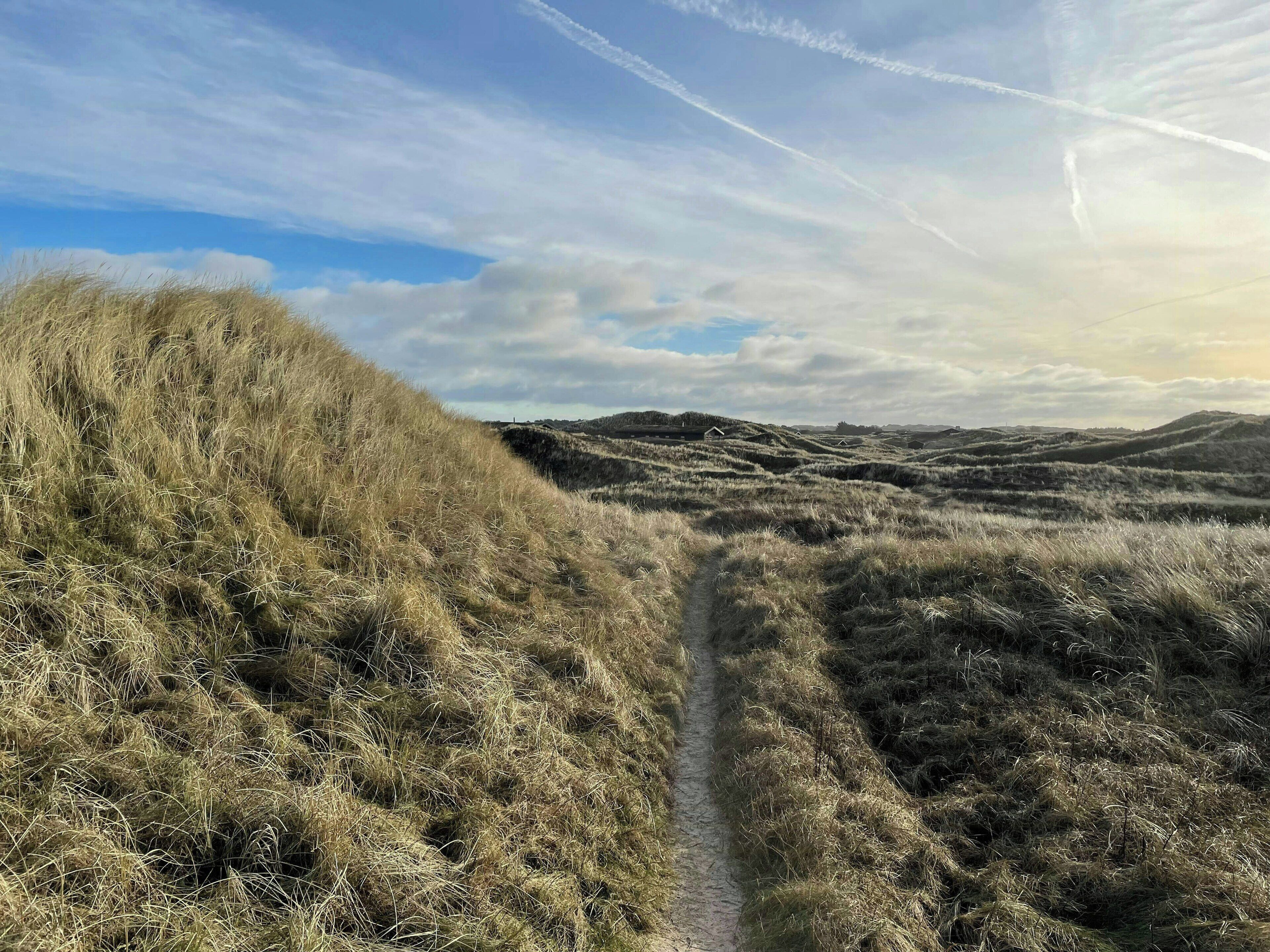 A natural landscape with a dirt path leading through grassy terrain.