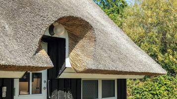 A building with a thatched roof, a visible window, and a door.