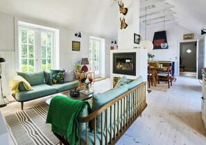 TV, fireplace - Architect house with pool near Tisvilde (Tisvildeleje)