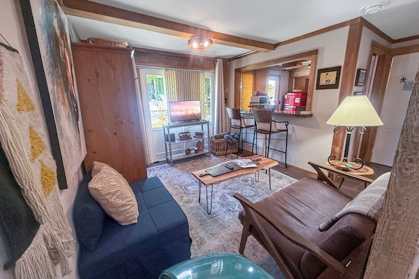 Cozy cabin-style living room with bar seating and warm wood accents. Twin futon