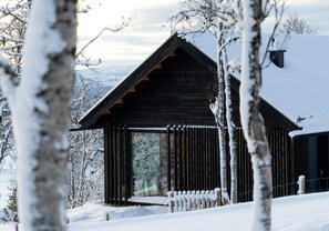 Exterior - Architect-designed cabin with ski trail near Geilo (Ål)