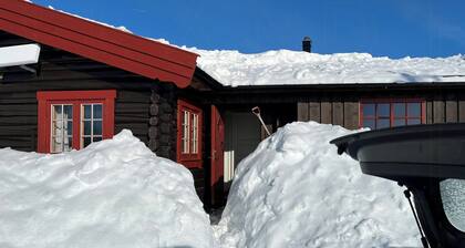 Traditional cabin in Nøsterbølia
