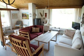 TV, fireplace - Dune house near Bulbjerg (Frøstrup)