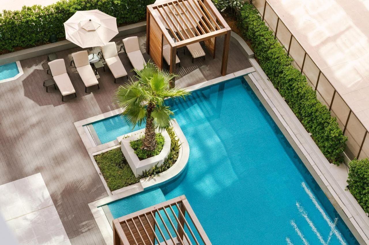 A rooftop pool with lounge chairs and a palm tree.
