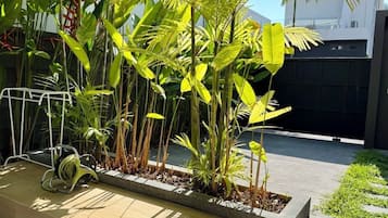 Family Villa, Mountain View | Property grounds