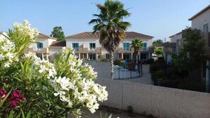 Zona residencial com casas modernas, uma palmeira e um arbusto de flores.