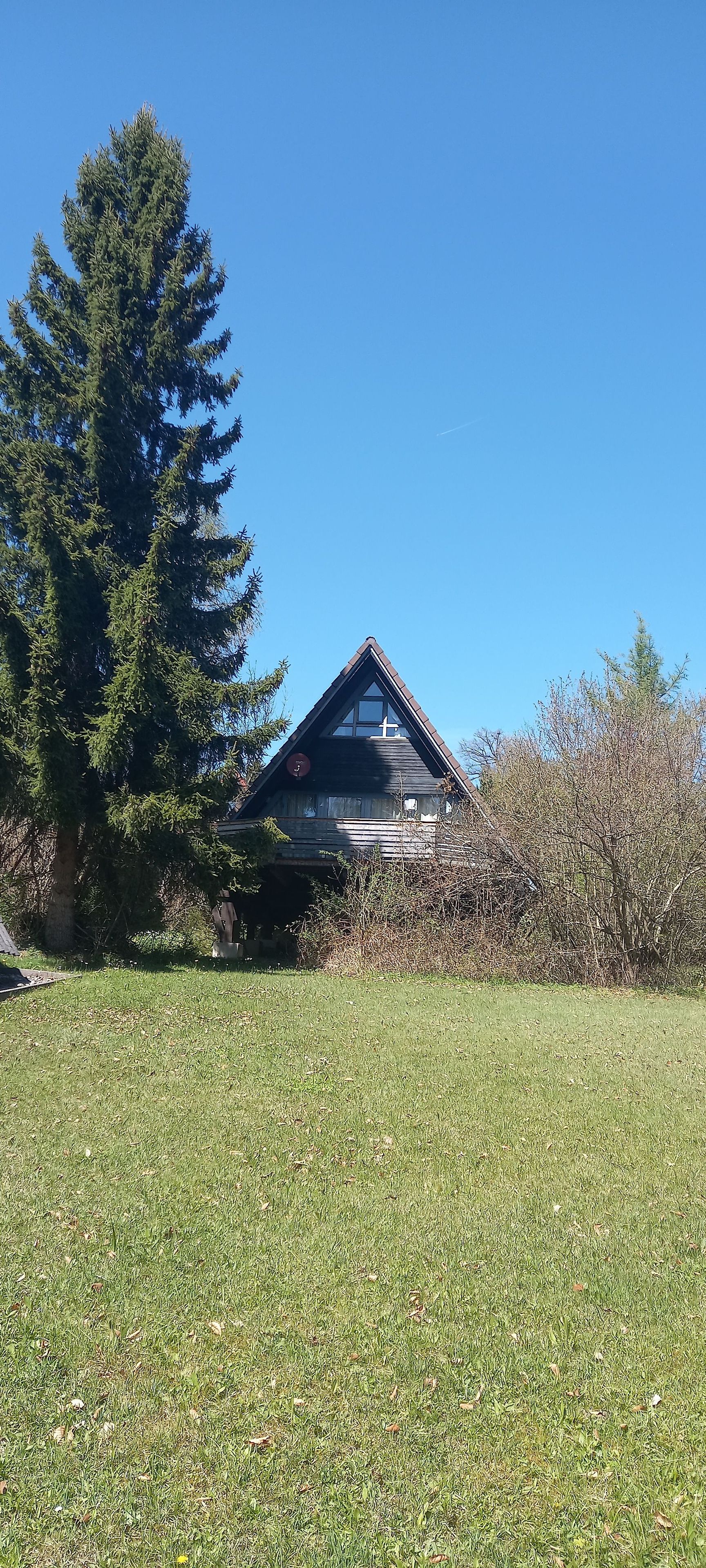 A wooden cabin with a triangular roof, surrounded by a grassy field and a large coniferous tree.