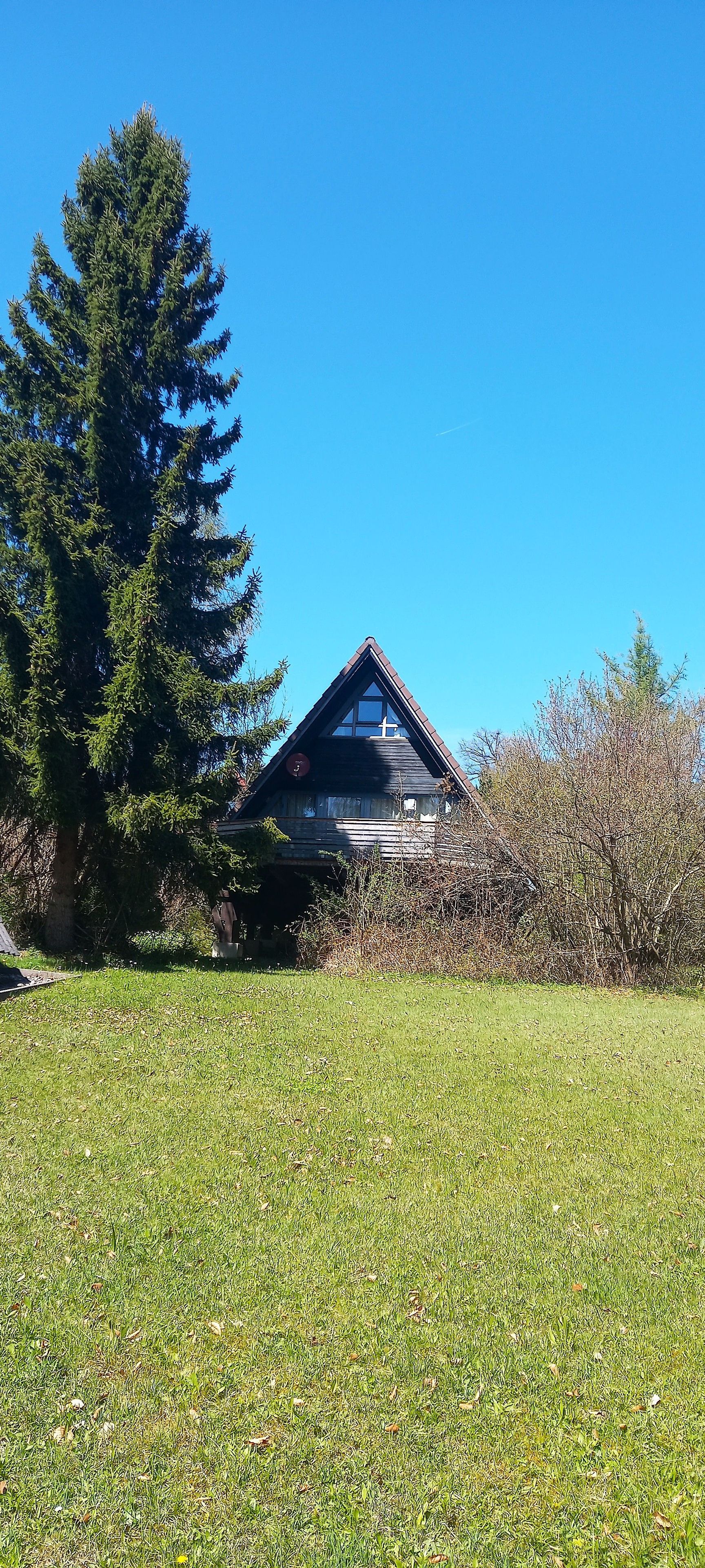 Puinen mökki, jonka katto on kolmion muotoinen, ja jonka ympärillä on ruohokenttä ja tiheä metsä.