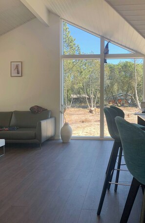 TV, fireplace - Nordic summer house in Ålbæk with spa and sauna (Ålbæk)