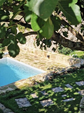 Pool - House and playful barn (SAINT LAURENT DE JOURDES)