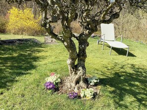 Property grounds - Family house with large garden near Ebeltoft (Ebeltoft)