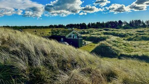 A house with a modern design, surrounded by grassy fields and a forest in the background. - Bright holiday home close to sea near Blokhus (Blokhus)