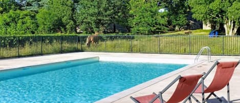 House | Pool