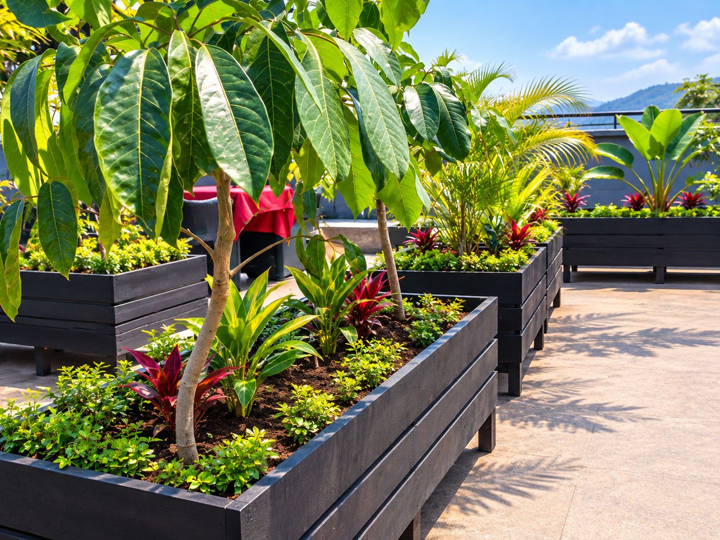 Un jardín en la azotea con jardineras elevadas que contienen diversas plantas y árboles.
