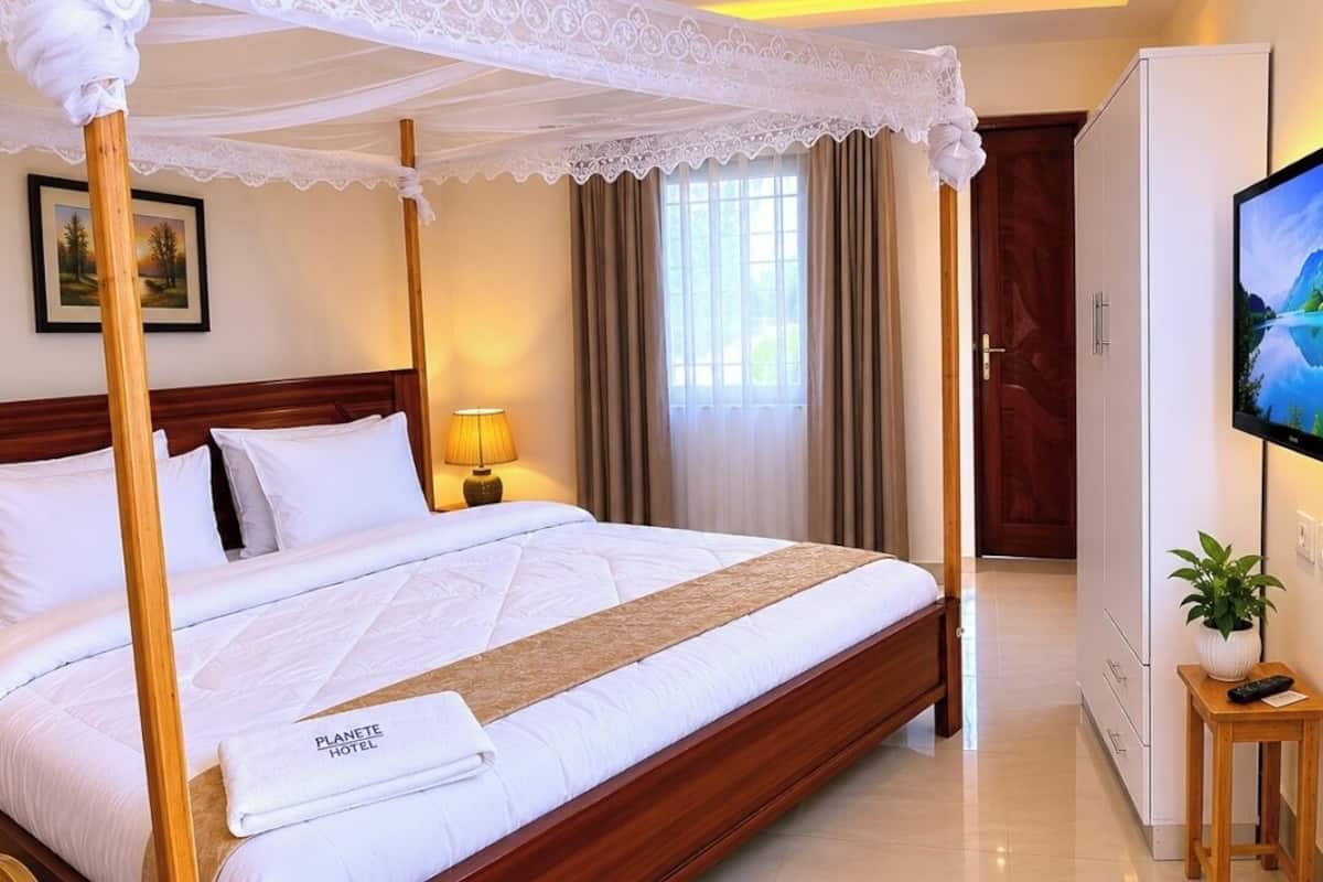 Una habitación de hotel con una cama con dosel, televisor, planta y armario de madera.