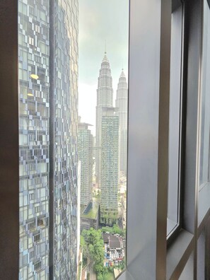 Vista desde la propiedad