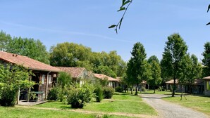 Entorno rural con edificios tradicionales, un camino de grava y abundante vegetación.
