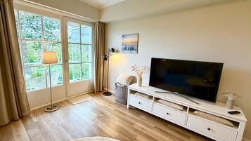 Fernseher, Kamin