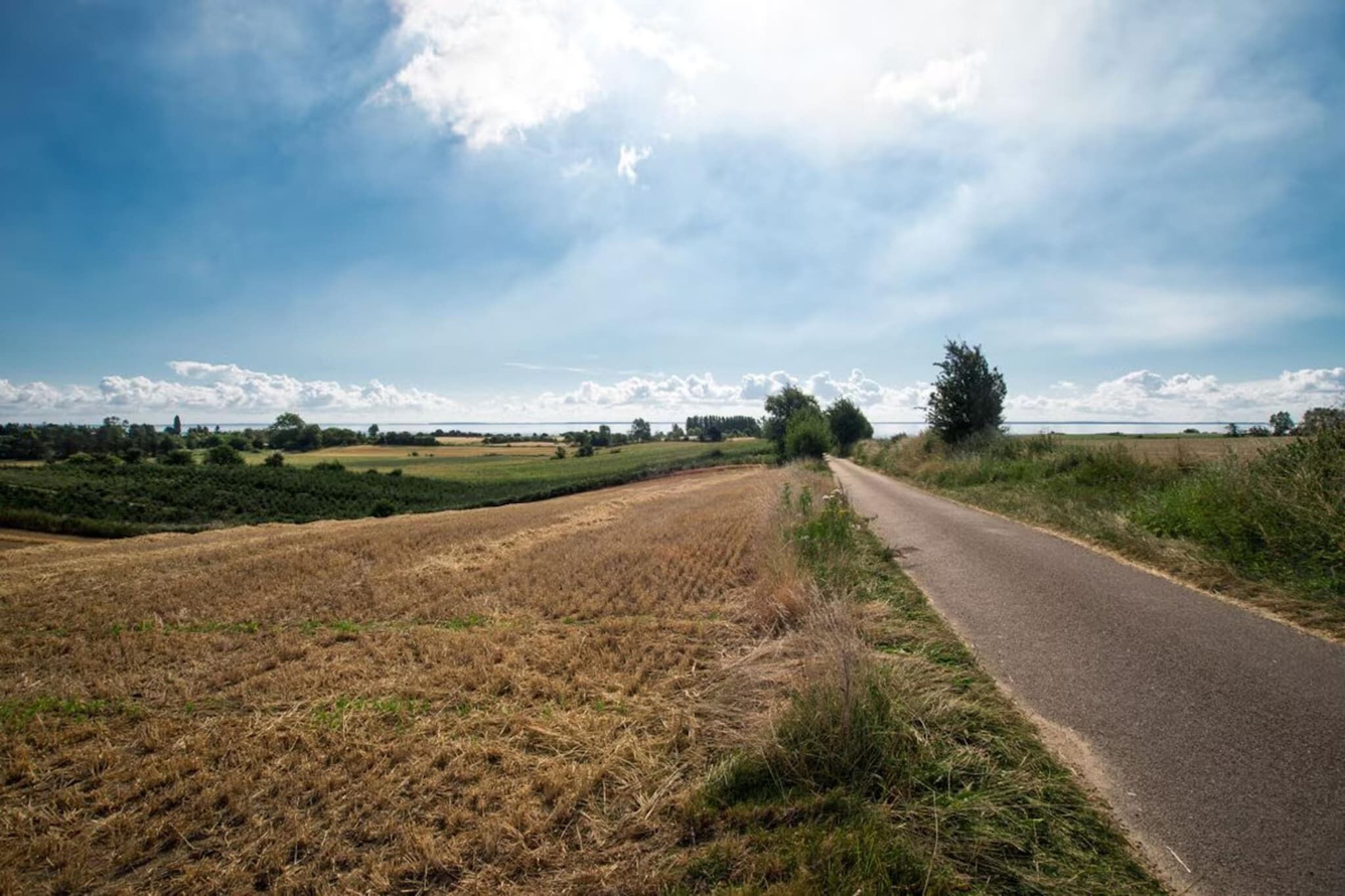 Un camino rural flanqueado por campos, con cielo despejado.
