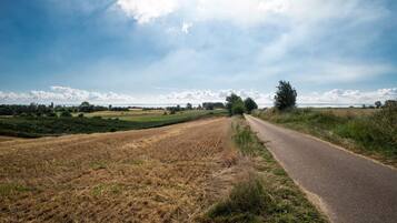 Un camino rural flanqueado por campos, con cielo despejado.