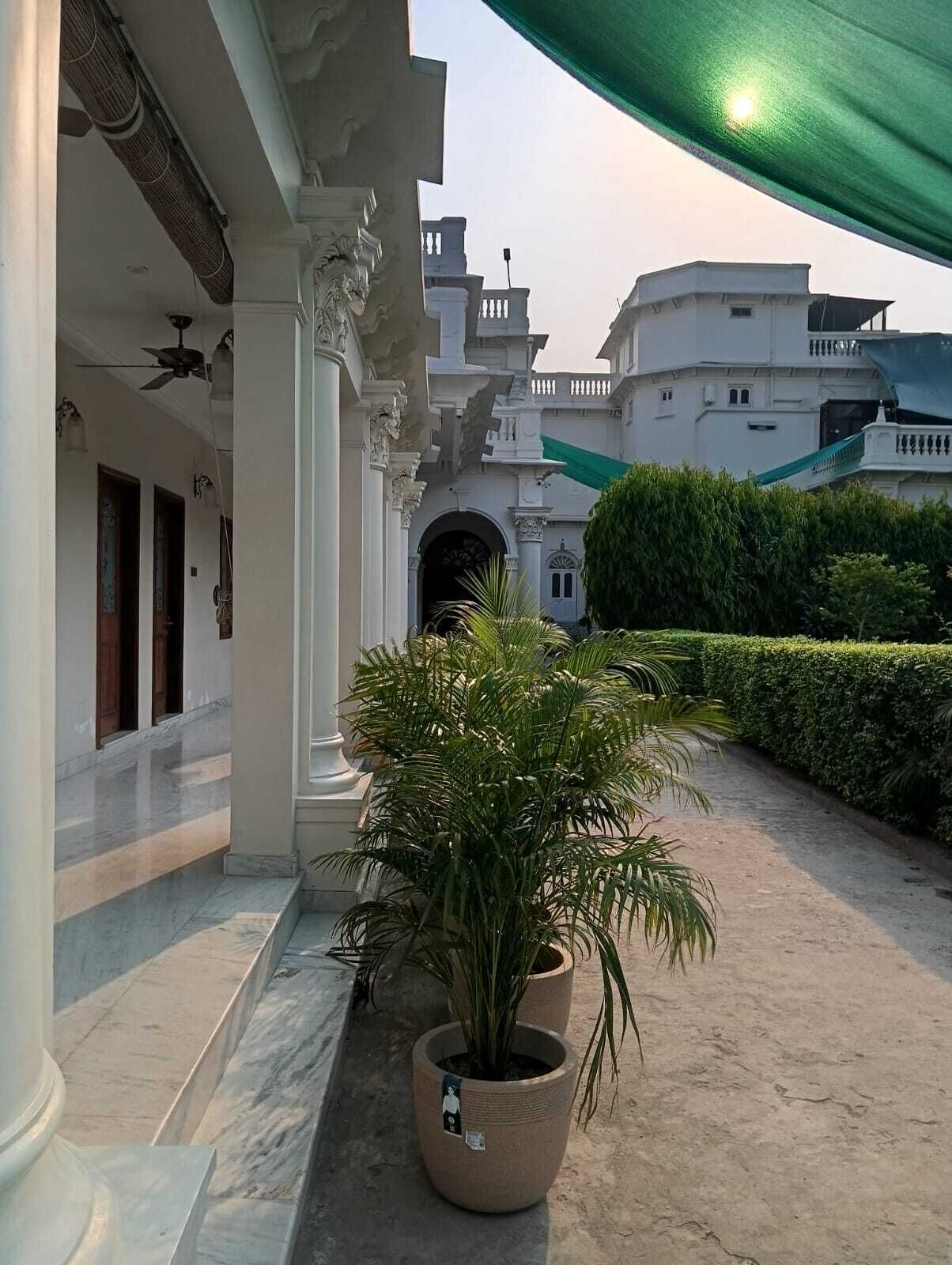 外观细节