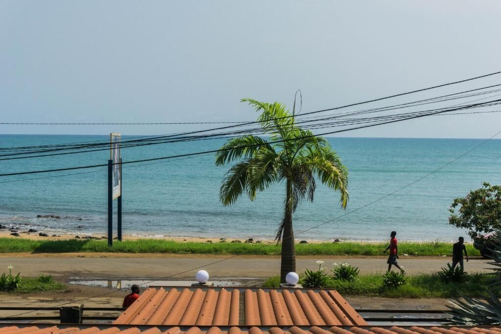 A coastal road with a palm tree, beach, and ocean view.