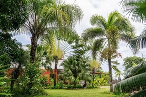 Jardines del alojamiento