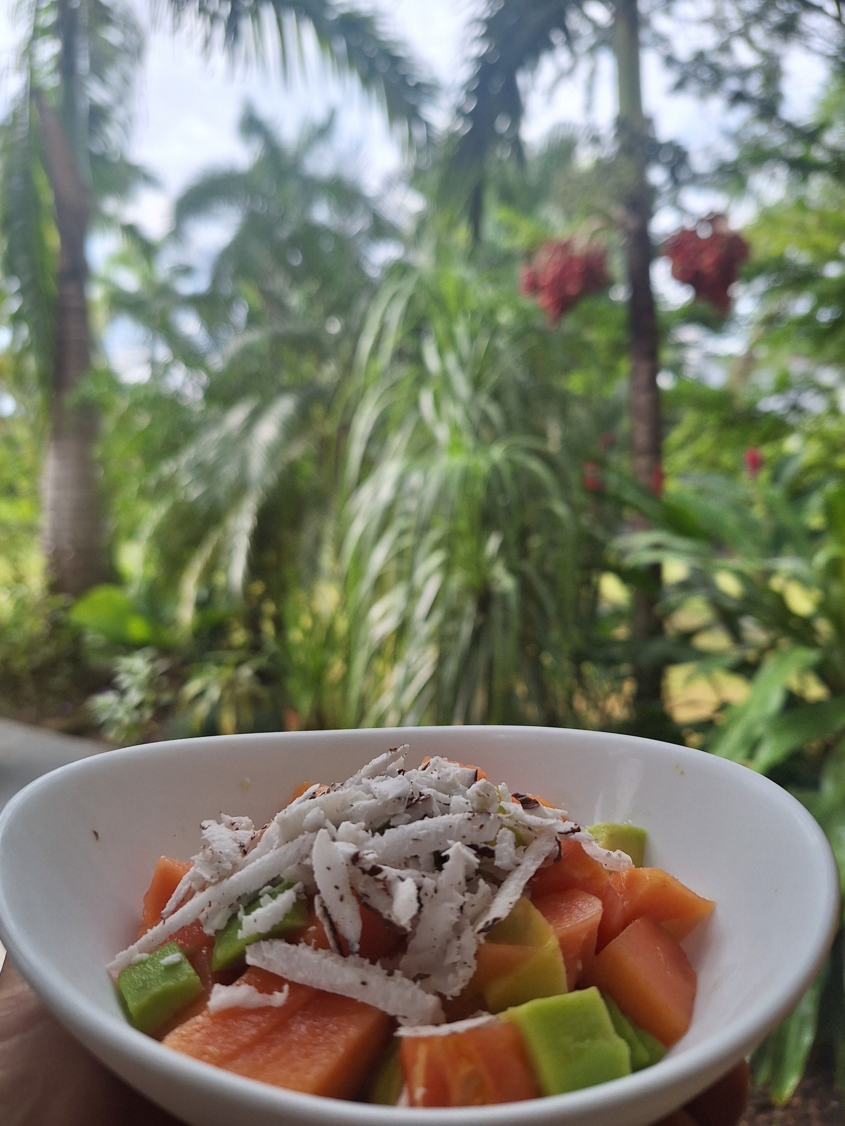 A bowl of fruit salad with coconut flakes on a white plate.