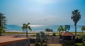 Vista da praia com palmeiras, uma construção pequena e uma estrada que leva à praia.